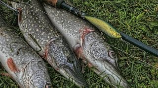 Рыбалка в старом осколе и белгородской области