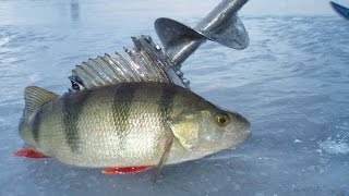 Зимняя рыбалка в хромтау